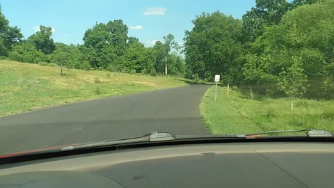 Shelby park part 1 rough draft