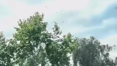 Masivní přesuny vzdušných i pozemních sil armády v USA