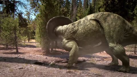 Triceratops vs Tyrannosaurus Rex Battle