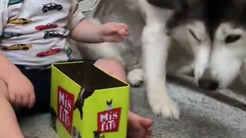 Kids love pet