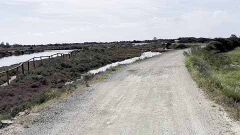 CENTRO FELIZZIDADE - la strada per la spiaggia