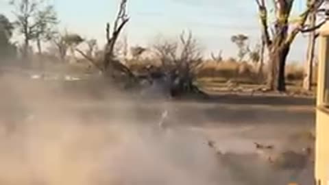 Shocking moment!