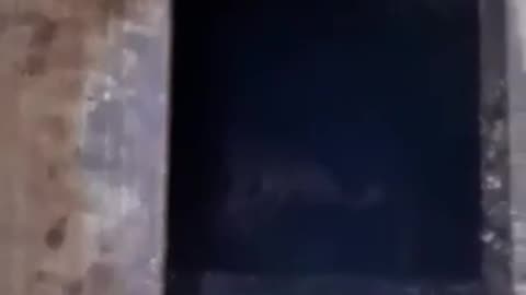 A Ukrainian man came up with a sophisticated way to hide from military officers