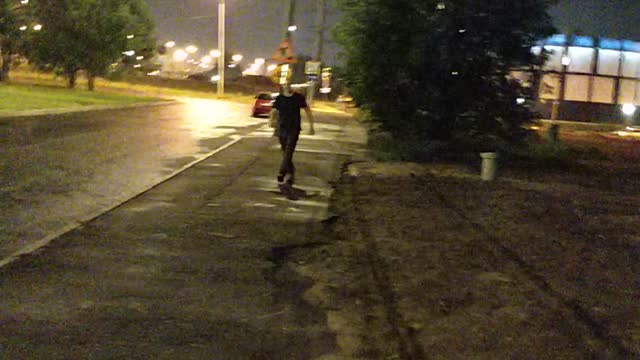 20180726 - Гриша с явой, Пипен в дрова 3