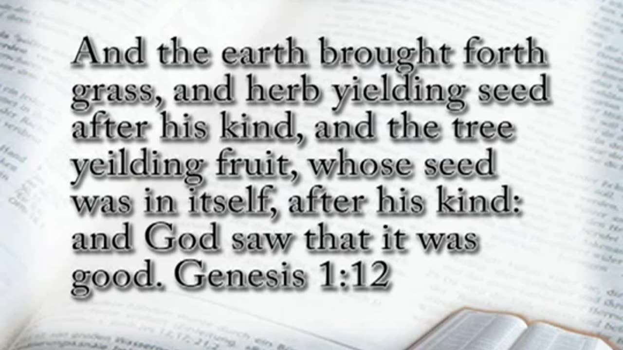 Life In God's Hands (Genesis 1:11-13)