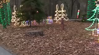 Family day at the park