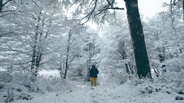 Chile tourism spot