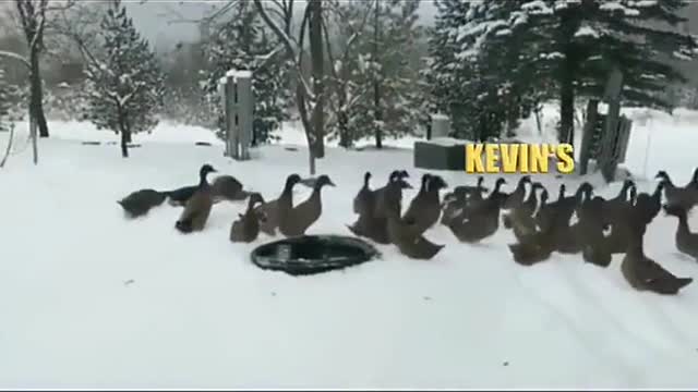 just going along for the ride