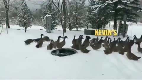 just going along for the ride