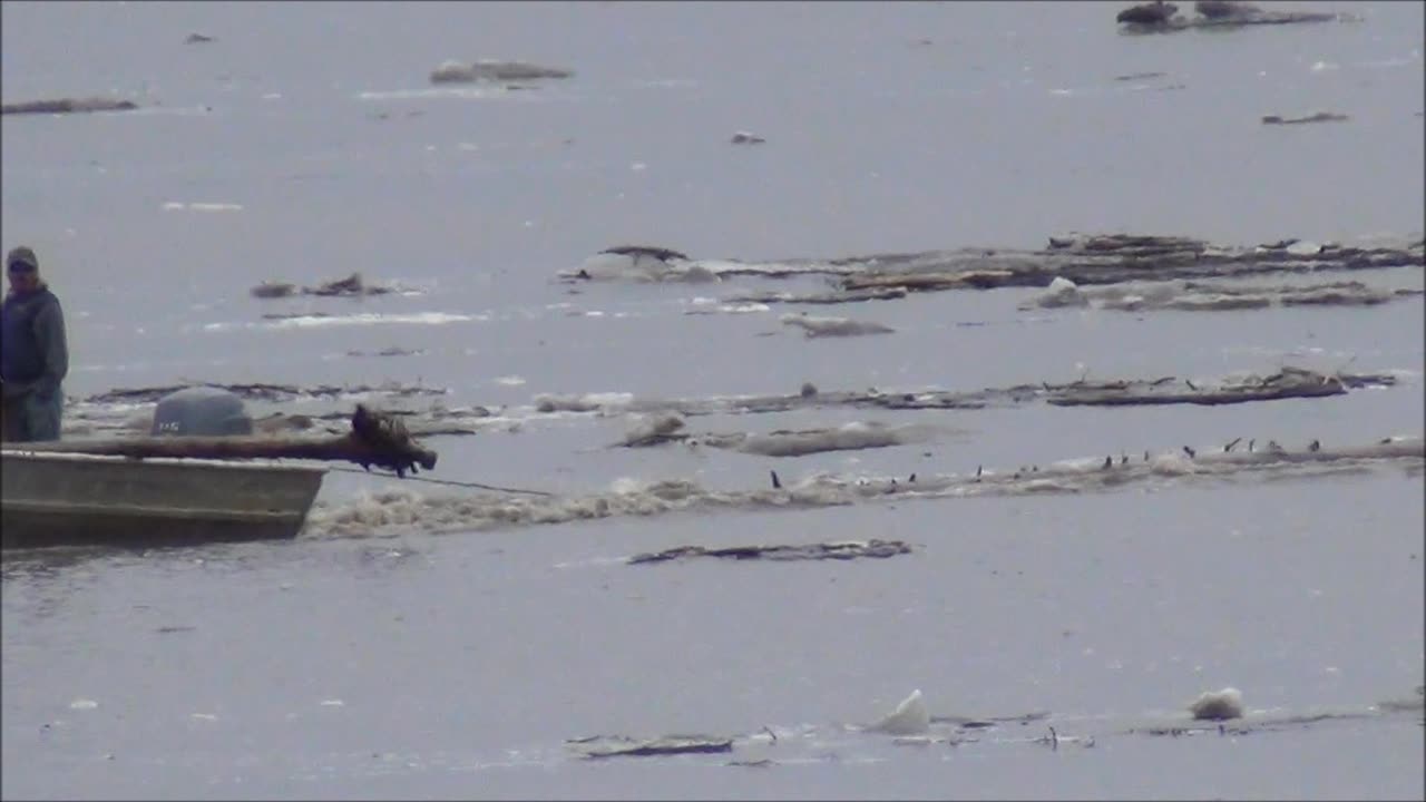 Logging On The Yukon River