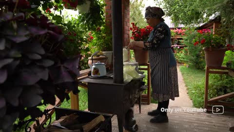 Cabbage dolma