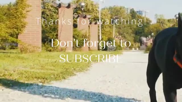 Funny video 😂