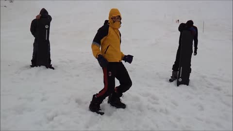 Harlem Shake in Snow