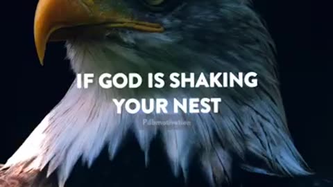 Sigma rule🔥😎~ if God is shaking your nest |inspirational quotes|#motivation