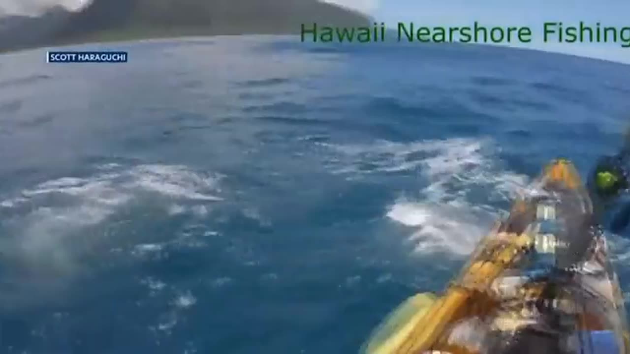 STUFF THAT. Shark attack on kayak caught on camera