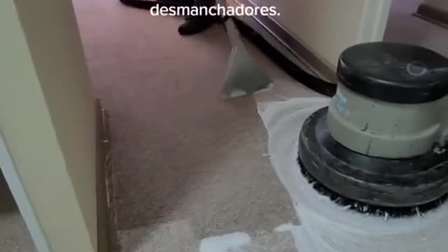 Que Debes Hacer Para Limpieza de alfombras