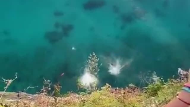 Pole throw 🤝 two divers 👉 superb shot 🎥🤩