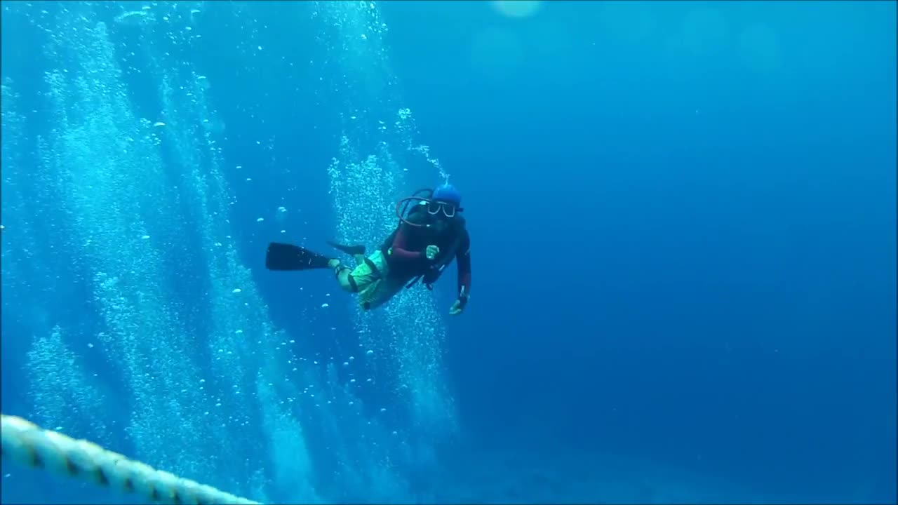 Thresher Shark Video, Malapascua, Philippines