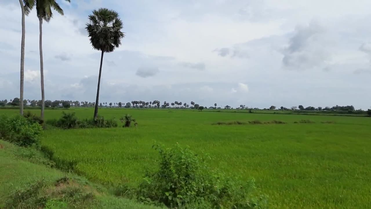 Beautiful Nature Ride through a Country Side 1080p