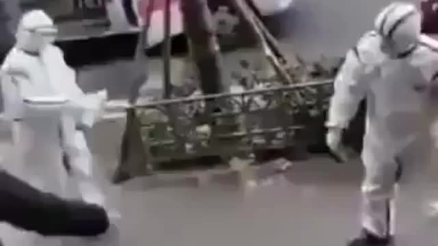 Wuhan Con - The videos that started it all.