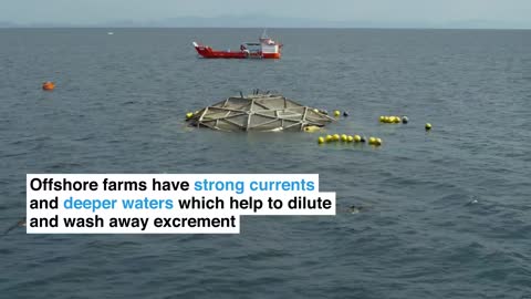 This cutting-edge fish farm might completely change how seafood is produced.
