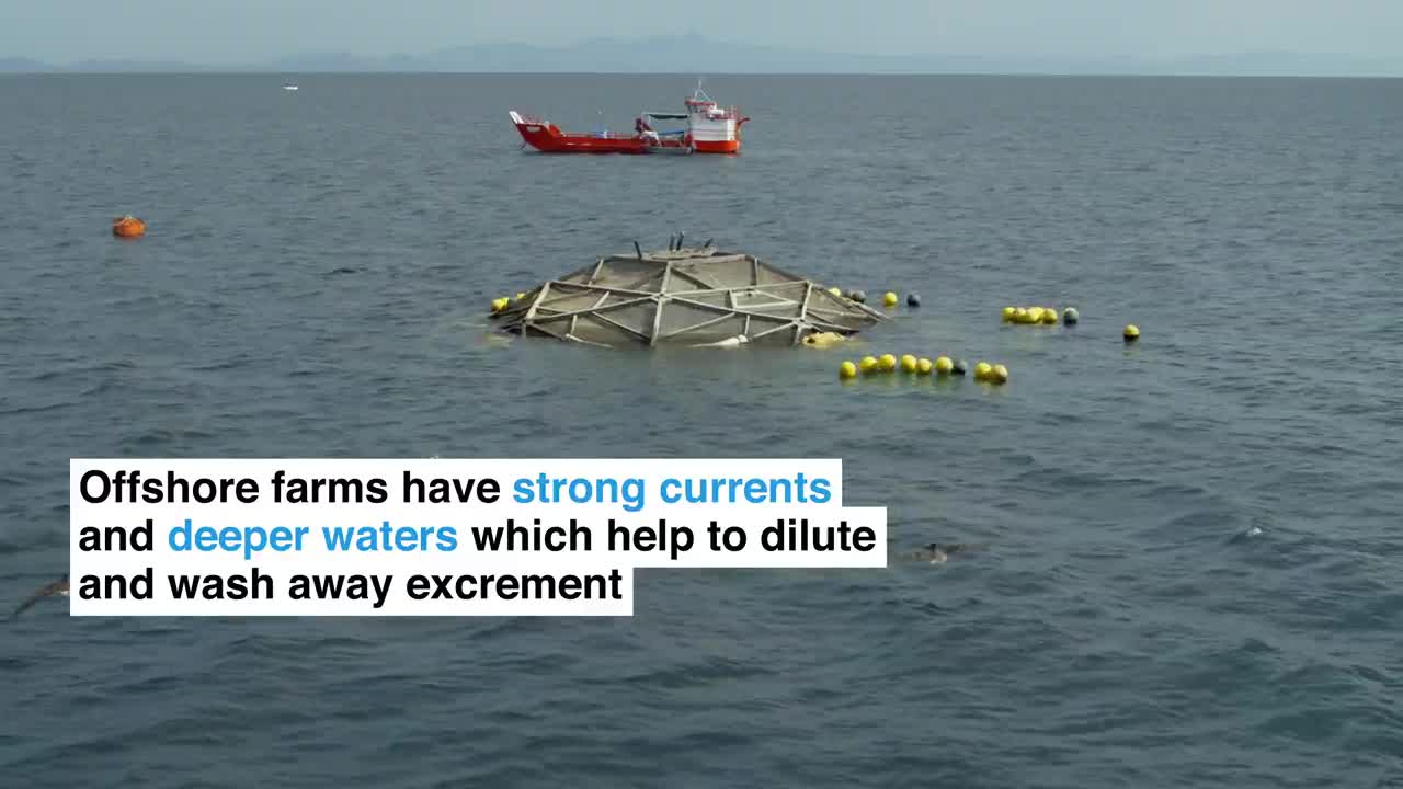 This cutting-edge fish farm might completely change how seafood is produced.