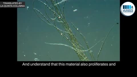 Anlysis of A SINGLE Pfizer DROPLET under the optical microscope