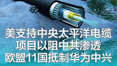 2023年9月29日 #新闻速7 #盘古新闻社 音乐：#相思好比小蚂蚁