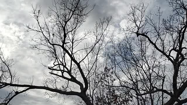 Abundance of Rain