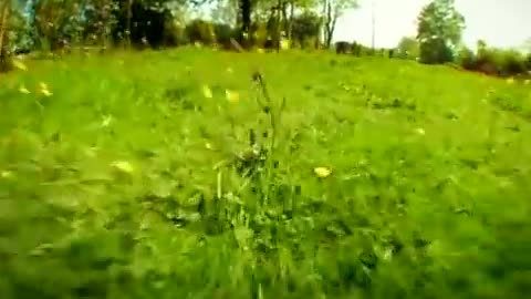 ХА ХА ХІ ХА