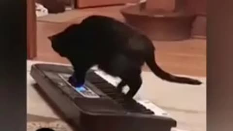 videoplayback