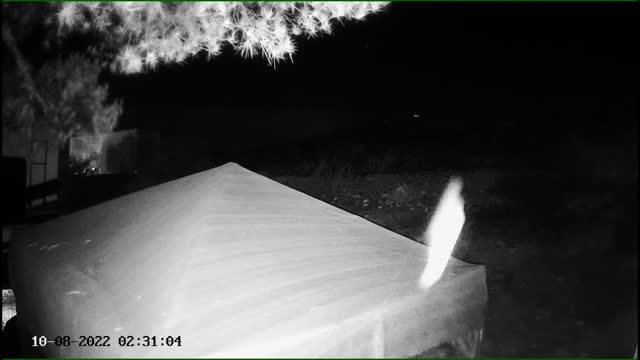 WOW! Angels more signs and wonders 10/9/22