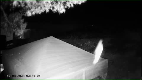 WOW! Angels more signs and wonders 10/9/22