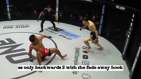 unbelievable MMA knockout