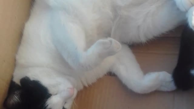 Lets the boy to sleep memes meme