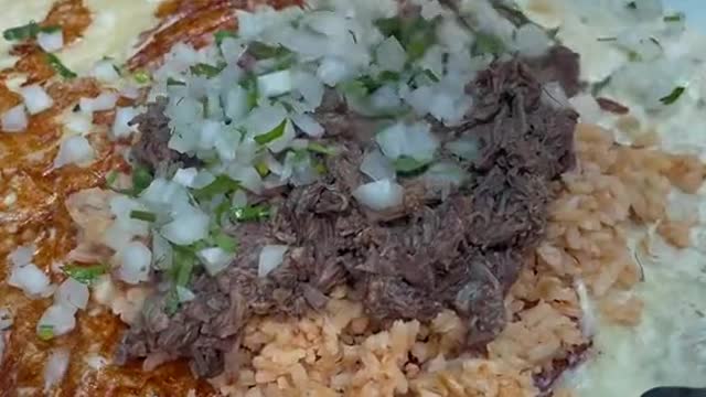 How much would you pay for this Birria burrito Got it from