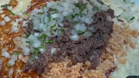 How much would you pay for this Birria burrito Got it from