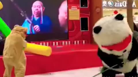 ##Cute ##panda##