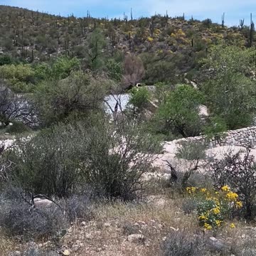 A Nice Day for a Hike!