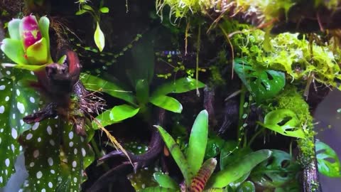 One Year Ago I Built an Ecosystem, This Happened