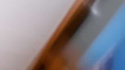Spooky Spider Attack