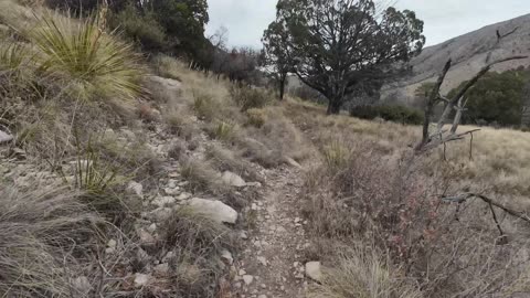 Hiking Back Down - Guadalupe Mtns NP - SSA - Day 5 - Part 3