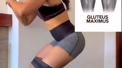 The Ultimate Body Workout Guide A Beginner's Guide to Body Workouts