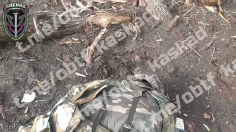 The fighters of the OBTF "CASCADE" destroyed a huge number of Ukronazis⚡️