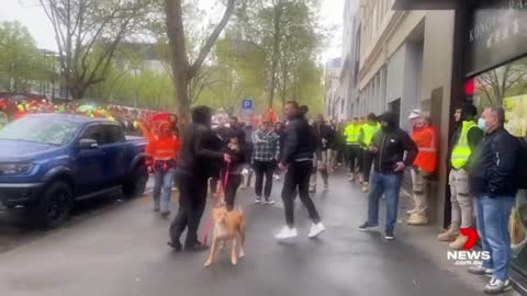 Man fighting animal cruelty charge after he kicked a dog during Melbourne protest | 7NEWS