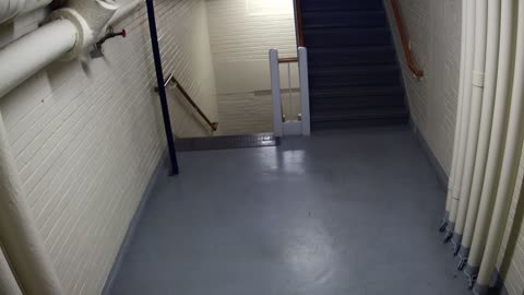 3891FHOB05Stair4_2021-01-06_18h00min01s663ms.mp4