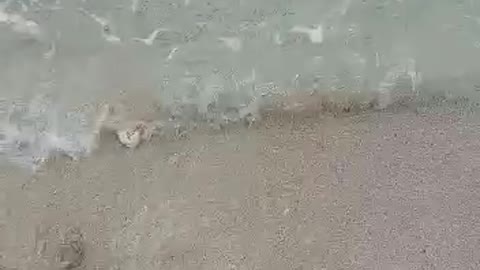 beautiful beach view cool