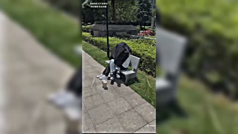 NEW BEST FUNNY VIDEOS😂 | RANDOM TIKTOK MEMES 2023‼️