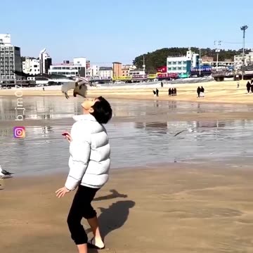 The run away at the end 😂😂😂 #funny #viral #shorts #funnyvideos #trustedhumor