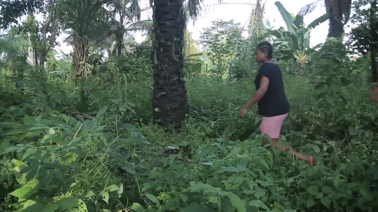 COMMENT LE PRINCE A DÉCIDÉ D'ÉPORISER LA PAUVRE FILLE,